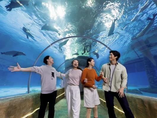 香港三天游(香港观光+海洋公园+自由行)